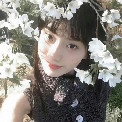 警之光第三季